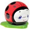 Safety 1st Kids/Child 2-In-1 Lady Bug Potty Trainer | PT039