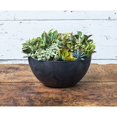 thumbnail image 5 of (2 pack) Root & Vessel Napa Bowl Planter, Black, 12", 5 of 7