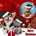 thumbnail image 4 of Ropa de regalo de Navidad para hámster, chinchilla, hurón y lagarto., 4 of 5