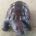 thumbnail image 3 of FUYPSE 2026 New Arrival Weather-Resistant Resin Turtle Statue Decoration, Exquisite Handicraft, Artistic Simulation Animal Sculpture, Suitable for Outdoor Gardens, Courtyards, Ponds, Decoration Gifts, 3 of 7