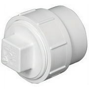 Charlotte Pipe Schedule 40 4 in. Spigot FPT PVC Cleanout Adapter