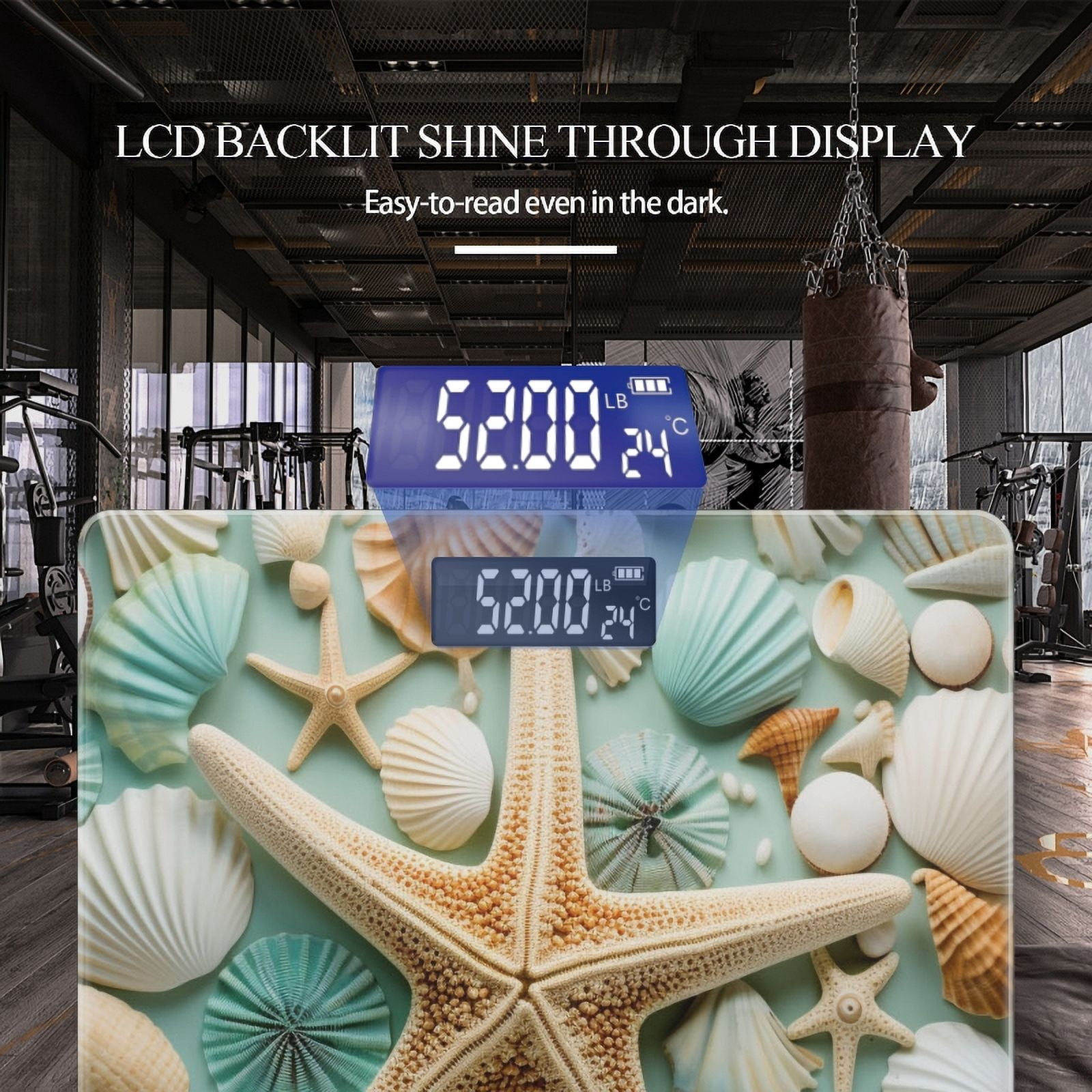 Bathroom Scale, Highly Accurate Digital Body Scale,Precisely Measures Weight up to 400 lbs-Composition Of Starfish And Seashells Arranged In Artistic