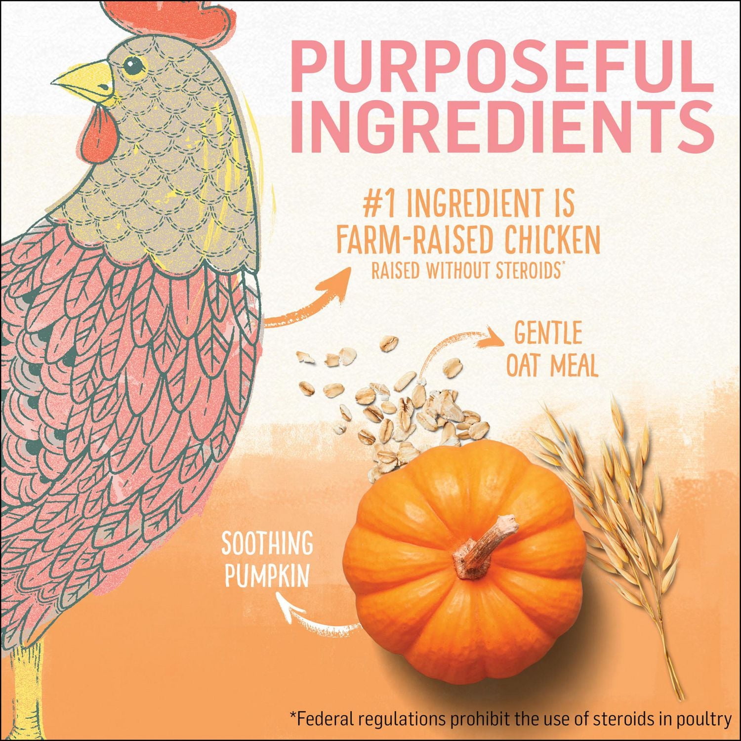 Beyond Chicken & Oat Meal Recipe, Dry Kitten Food 1.36 kg, 1.36 kg