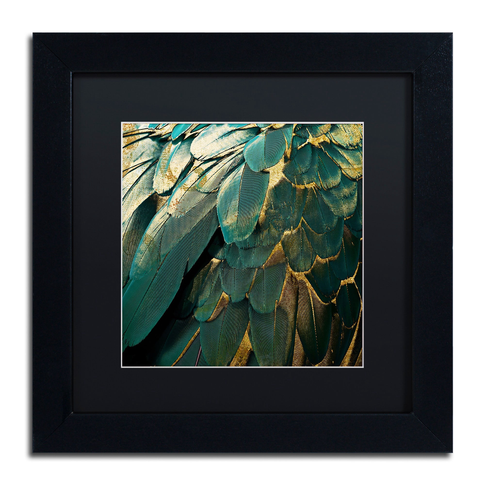 Trademark Fine Art "Feather Glitter" Canvas Art by Color Bakery, Black Matte, Black Frame