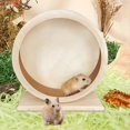thumbnail image 2 of Hamster Running Wheels Large Silent Wheel for Pets, Small Animals, 2 of 5