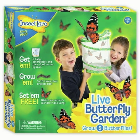 As Seen on TV Butterfly Garden by Insect Lore