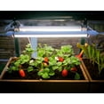 thumbnail image 3 of Palram - Canopia Brighton - LED Grow Light for all Canopia Greenhouses, 3 of 8