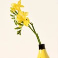 thumbnail image 2 of Florero de resina con forma de plátano, adornos de escritorio, arreglo floral con forma de fruta, decoración de jarrón, 2 of 6