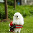 thumbnail image 1 of Chien de Compagnie Réglable Sans Harnais de Traction Collier Réfléchissant Gilet Chien Fournitures, 1 of 8