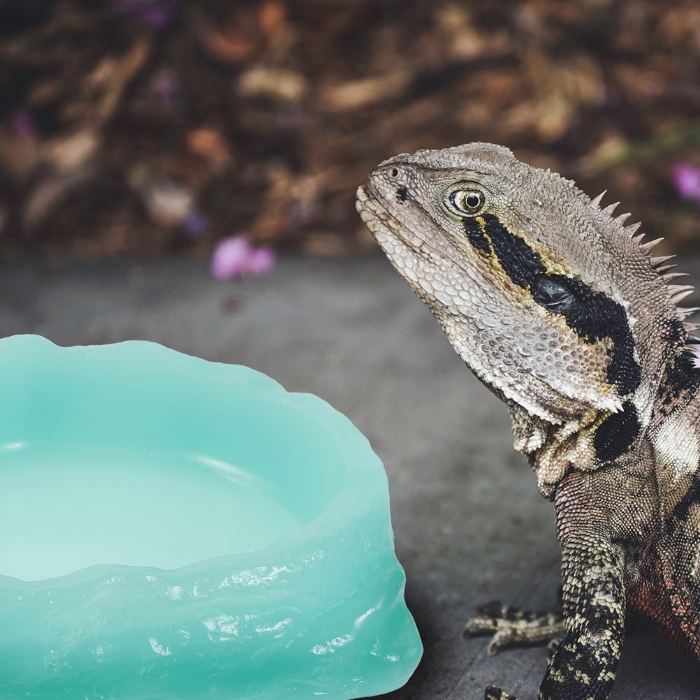 ELAYARD 2Pcs Glow in Dark Resin Reptile Feeding Dish Light Green Luminous Water Bowl Non Slip Design