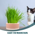 thumbnail image 3 of WHAMVOX Soilless Cat Grass Planter Grass Planting Box Nursery Cat Grass Hydroponic Case, 3 of 8