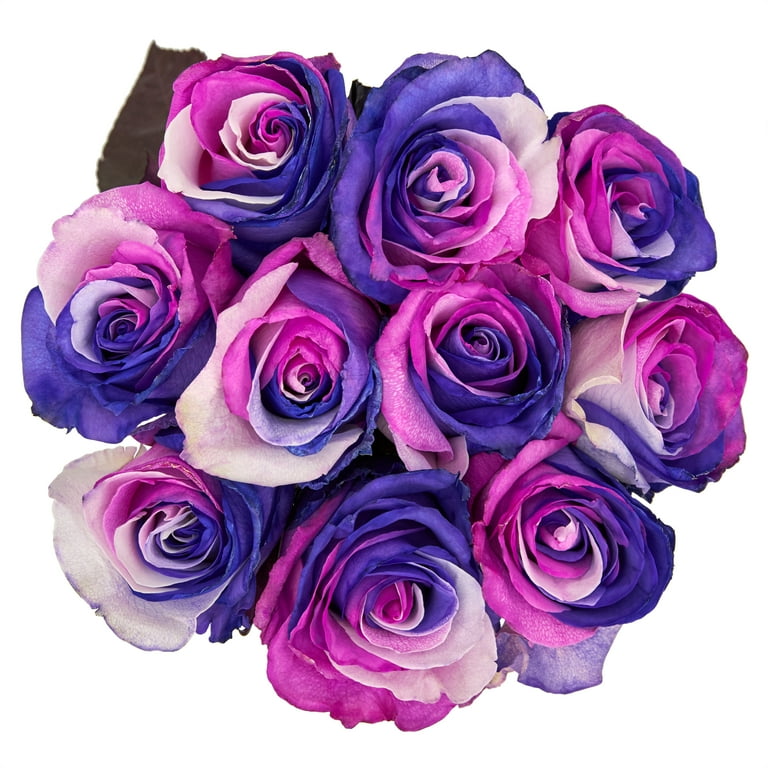 Fresh-Cut Tinted Roses Flower Bunch, Minimum 10 Stems, Colors Vary