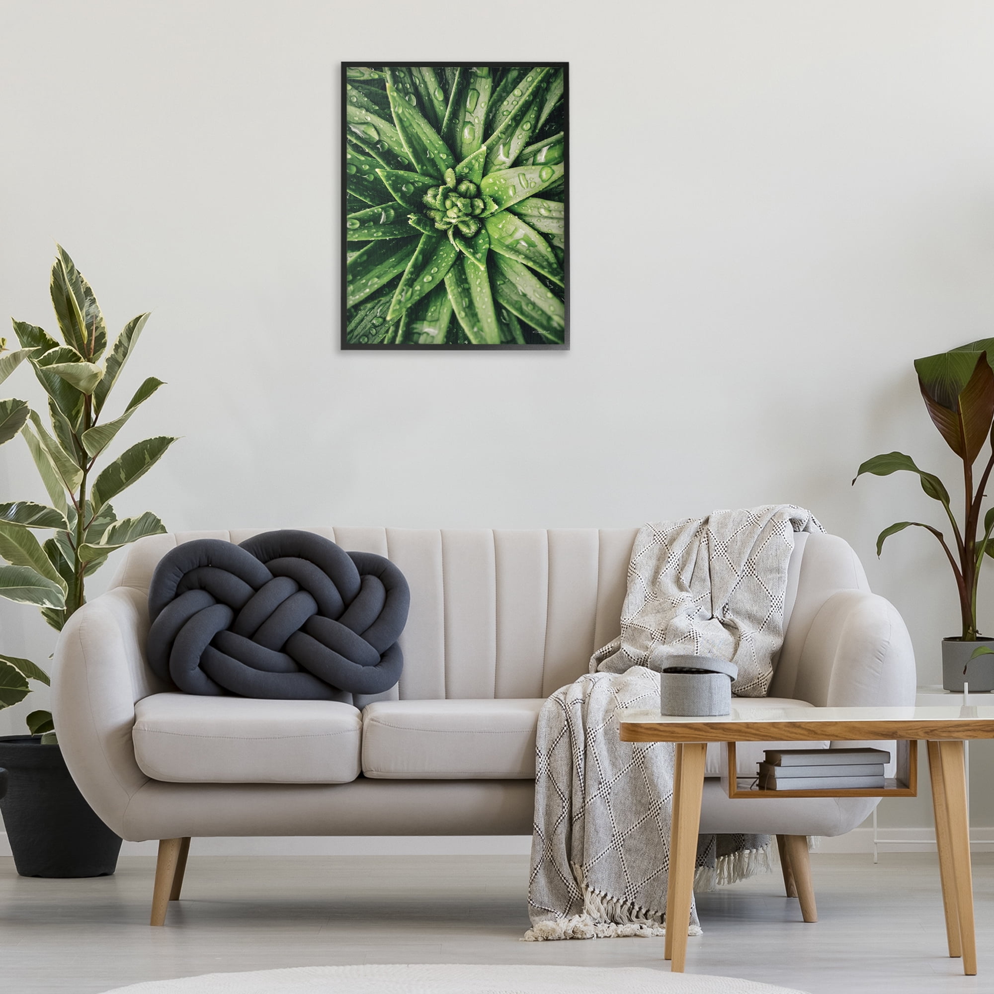 Stupell Industries Succulent in Rain Botanical & Floral Photography Black Framed Art Print Wall Art, 24 x 30