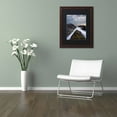thumbnail image 3 of Trademark Fine Art "On the Rocks" Canvas Art by Michael Blanchette Photography Black Matte, Wood Frame, 3 of 4