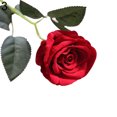 thumbnail image 2 of Gwong Decoración hogareña 1 UNID Artificial Rose Flor MiniaScape Boda Partido Inicio Oficina Bonsai Decoración Gwong 21029798, 2 of 7