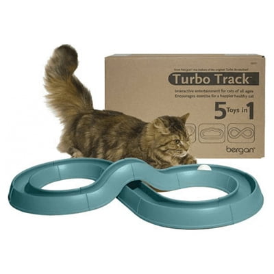 cat toys that move on their own