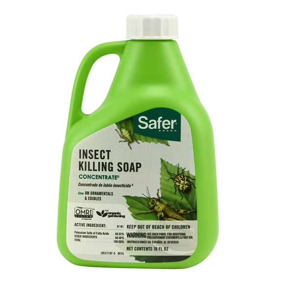 Safer 5118-6 Insect Killing Soap Concentrate - Insecticidal Soap for Plants - Kills Aphids, Whiteflies, Thrips, Spider Mites, and More - OMRI Listed for Organic Use - 6 Pack