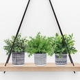 thumbnail image 5 of Set of 3 Small Potted Plants Artificial Euc Rosemary Boxwood Plants in Black and White Geometric Pots for Table Centerpiece Kitchen Counter Windowsill Indoor Outdoor Garden Greens Decor, 5 of 5