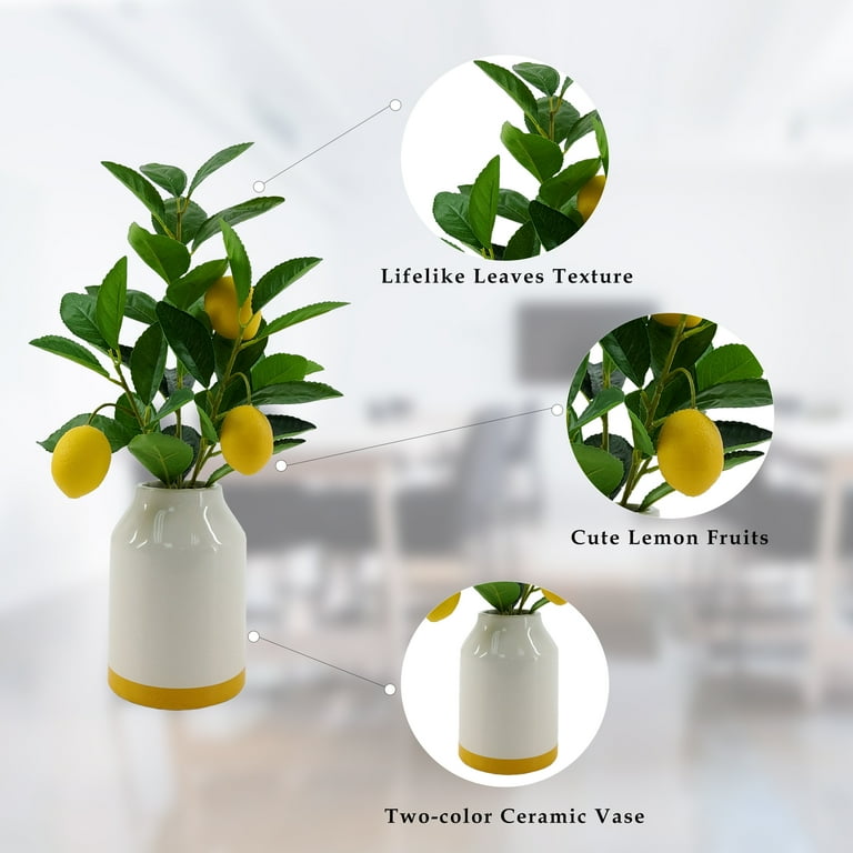 Mainstays by Becky G. & Alejandra 14.5