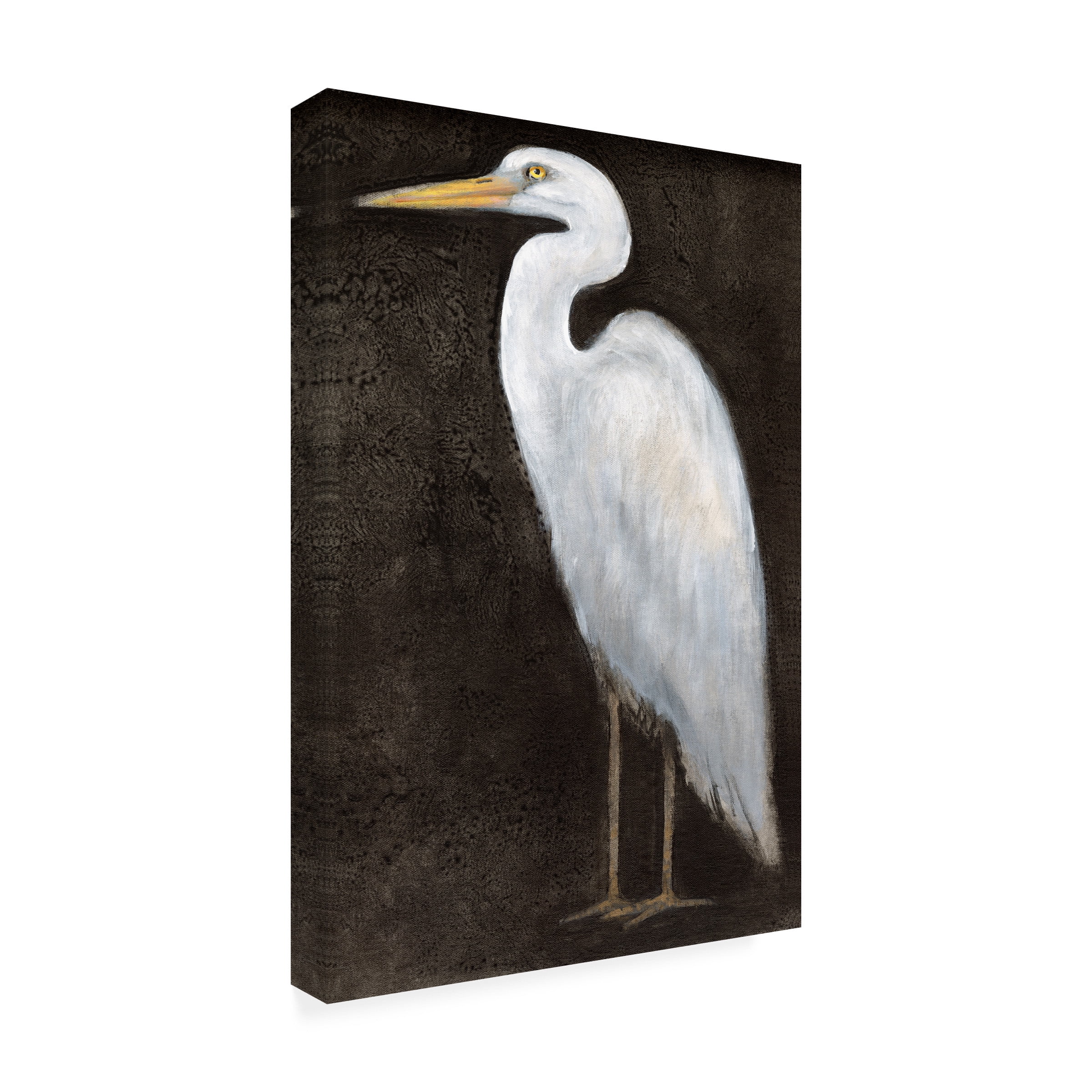 Tim O'Toole 'White Heron Portrait II' Canvas Art