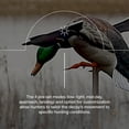 thumbnail image 4 of Avian X PowerFlight Mallard Spinning Duck Decoy & Power Shaker Mallard Hen Preener Decoy, 4 of 12