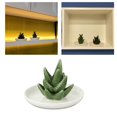 thumbnail image 3 of Organizador de platos decorativo con soporte de cerámica de aloe para joyas, ideal para mujeres y niñas. Estilo 2, 3 of 9