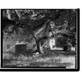 thumbnail image 2 of Historic Framed Print, Picchetti Winery, 13100 Montebello Road, Cupertino, Santa Clara County, CA - 3, 17-7/8" x 21-7/8", 2 of 9