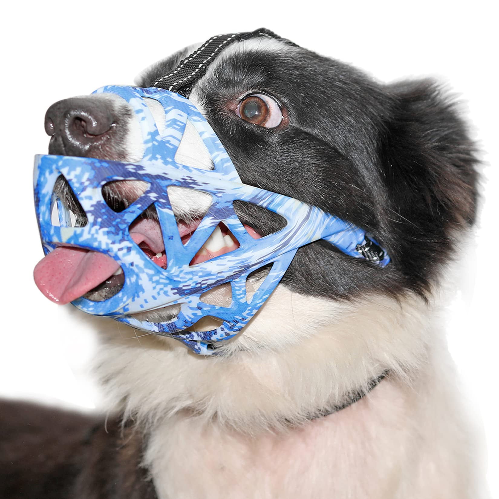 Should I Muzzle My Dog To Stop Scavenging