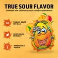 thumbnail image 3 of Sour Slaps 9-Pack Flavored Sour Candy Belts - Deliciously Sour, Fresh & Chewy, Extreme Sour Kick, Vegetarian, 9 Mouth Watering Flavors Sweet Snack Fruit Candies Tangy Bonbon, 3 of 8