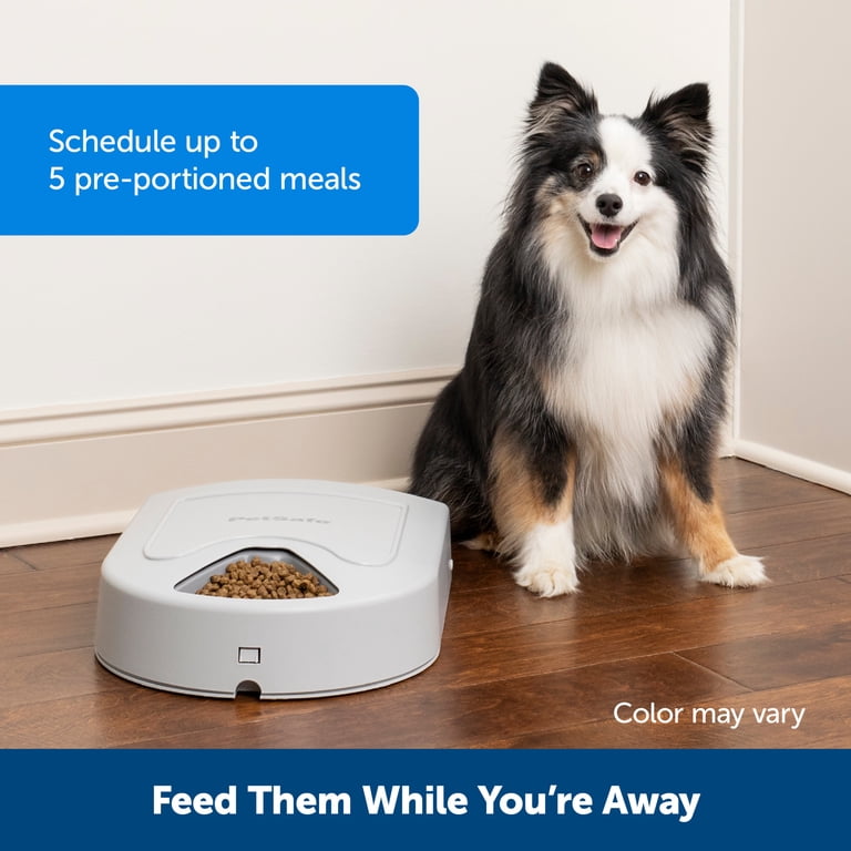 PetSafe 5 Meal Automatic Pet Feeder, Gray photo 2