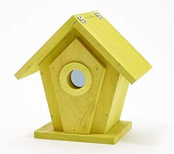 Vantage View Wooden Bird House, Lime