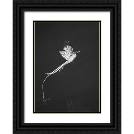 Hu, Mei 11x14 Black Ornate Wood Framed with Double Matting Museum Art Print Titled - Terpsiphone Paradis