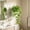 Green, variant on Wall-Mounted Hydroponic Planter with Self-Watering Design, Transparent Plastic Flower Pot for Indoor Home Decor, Space-Saving Hanging Plant Container for Herbs and Small Plants