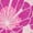 HEATHER PINK, variant on Yellowstone - Kinda Sweet Kinda Beth Dutton Women's Short Sleeve Graphic T-Shirt