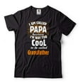 thumbnail image 2 of Mens Papa Shirt Grandfather Shirt Funny Grandpa Shirt Fathers Day Gift Tee Papa Gifts Gift For Men (XX-Large Navy Blue), 2 of 6