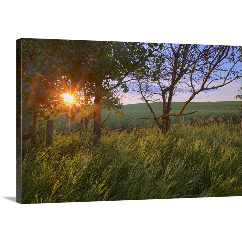 Great BIG Canvas "Sunrise On A Farm During The Summer In Central