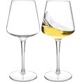 thumbnail image 1 of MICHLEY Verres à Vin Flottants pour Piscine, Grands Verres à Vin Rouges Modernes Ensemble de 2, Plastique Tritan Incassable Bourgogne Vaisselle à Pied Réutilisable 15oz, 1 of 6