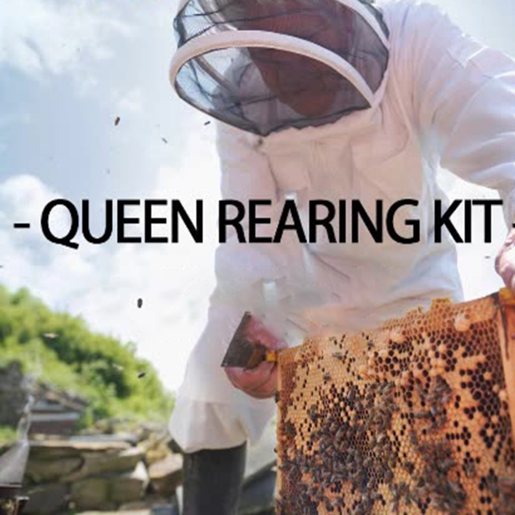 Hands Release LED Headlamps Magnifier for Beekeeping High Clear Lens for1nsectObservation and Queen Rearing