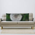 thumbnail image 7 of Body Pillow Cover, Dandelion Body Pillow Cases with Zipper Soft Breathable Smooth Skin Friendly Long Pillow Case 20x60 inches, 1Pcs, 7 of 7