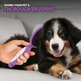 thumbnail image 4 of Poodle Pet Soft Bristle Hair Brush for Short Haired Cats or Dogs Pet Grooming Tool, 4 of 9