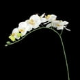 thumbnail image 3 of GETAJGHSD Indoor Decorative Orchid Artificial Orchid Flower Plant White 1Set, 3 of 8