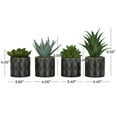 thumbnail image 3 of DecMode 4" Artificial Succulent Plant in Realistic Leaves and Patterned Pot (4 Count), 3 of 10
