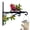 C, variant on Heavy Duty Bracket, Parrot Theme Plant Hanger, 11.81x7.87 Inches Wall Mount with Iron Finish, Tough Metal Bird Feeder Hook, Garden Hanger with Vintage Build, Flower Basket Clip for Fence & Patio