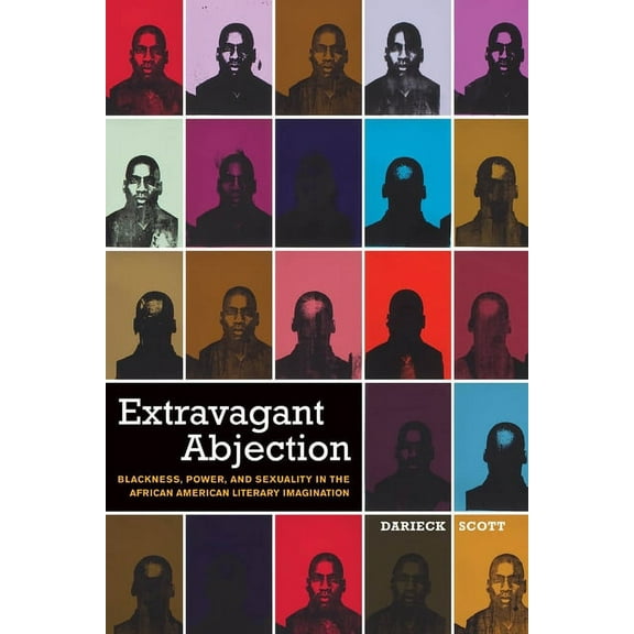 Sexual Cultures Extravagant Abjection: Blackness, Power, and Sexuality in the African American Literary Imagination, Book 17, (Hardcover)