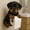 D, variant on Up to 40% off Gifts Oefntac Toilet Paper Holders Dog-Themed Toilet Paper Holders - Hundepapierhalter Cute Pet Bathroom Accessory with Wall Mount for Easy Roll Dispensing