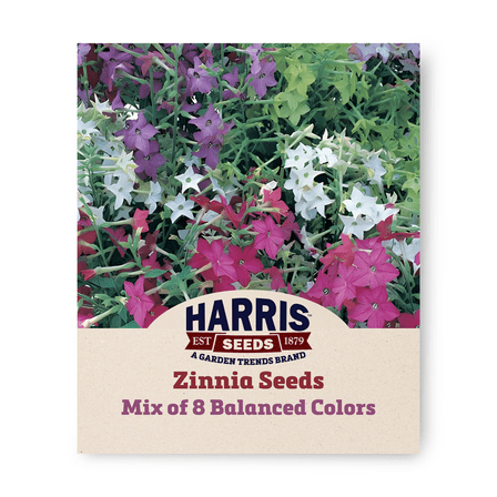 Harris Seeds - Nicotiana Perfume Seeds - Mix Of 8 Balanced Colors F1 - 500 Seeds