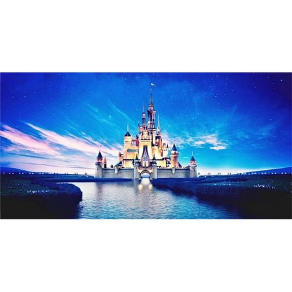 212 Main LPO1640 Cinderella Castle Photo License Plate