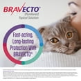 thumbnail image 5 of Bravecto Flea and Tick Topical Solution for Cats, 2.6-6.2 lbs, (Green Box), 5 of 5