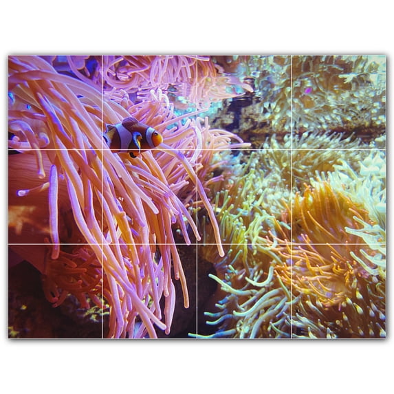 Picture-Tiles.com: Coral Ceramic Tile Wall Mural WAL500416-43S. 17"W x 12.75"H using (12) 4.25" x 4.25" Ceramic Tiles-Satin Finish