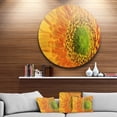 thumbnail image 1 of Designart - Yellow Daisy Gerbera Flower Close up' Disc Flowers Large Metal Circle Wall Artwork, 1 of 4